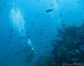 IMG_0104 - Panorama